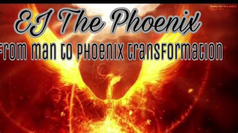 Phoenix Among Men Chapter 3892 – Novelrow.
